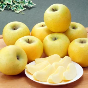 Golden Delicious Apple Trees - Live Plants 24-30 Inches Tall - Yellow Fruit