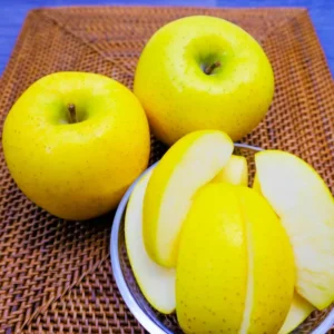 Golden Delicious Apple Trees - Live Plants 24-30 Inches Tall - Yellow Fruit