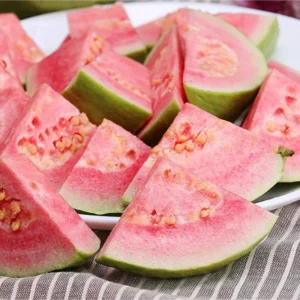 Guava Tree Plant - 2 to 3 Ft Height - Pink Guava - 3 Gallon Pot