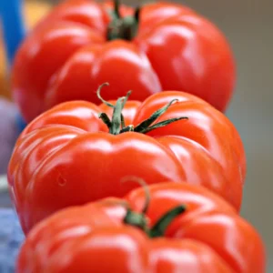 Heirloom Tomato Plants Live - Big Red Vegetables 5-9 Inches