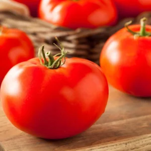 Heirloom Tomato Plants Live - Big Red Vegetables 5-9 Inches