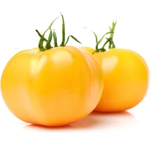 Heirloom Yellow Tomato Plants - 2 Live Starter Plants - Indoor Outdoor