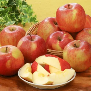 Honeycrisp Apple Tree Plant - Indoor/Outdoor - 24-30 Inches - Red