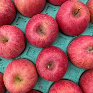 Honeycrisp Apple Tree Plant - Indoor/Outdoor - 24-30 Inches - Red