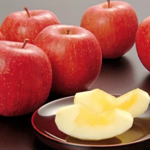 Honeycrisp Apple Tree Plant - Indoor/Outdoor - 24-30 Inches - Red