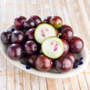 Jaboticaba Plant Live Tree - 1 Feet Tall, Well Rooted