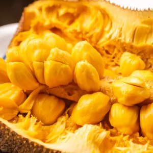 Jackfruit Plant Live Sweet Jackfruit Tree 8-12 Inches Tall