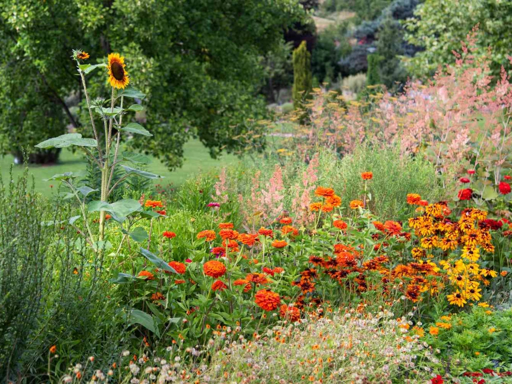 Layered garden habitat