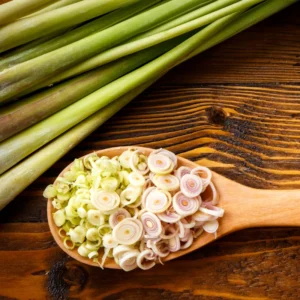 Lemongrass Plant - 12 Rooted Stalks - Live Lemon Grass for Outdoor Garden