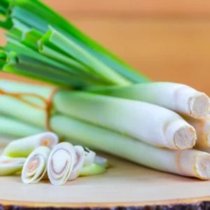 Lemongrass Plant 3 Rooted Stalks Live Herb Garden Ready to Plant