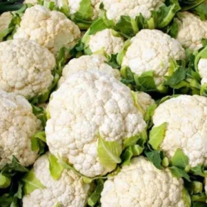 Live Cauliflower Plants - 4-6 Inch Vegetable Plants for Gardening