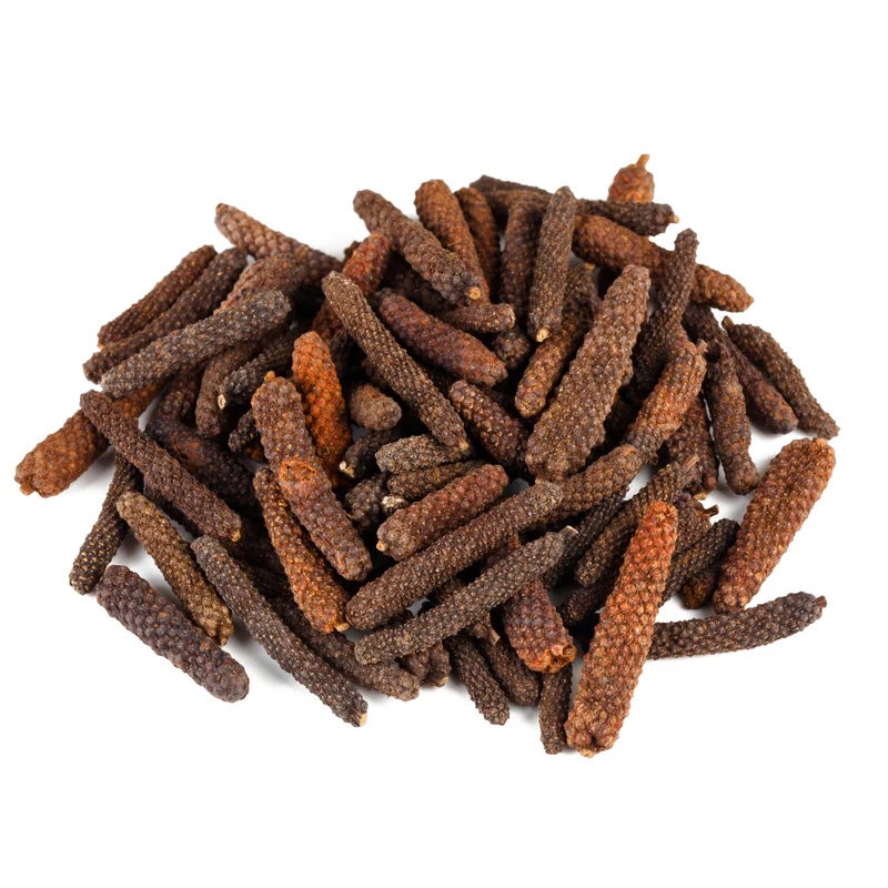 Long Pepper Plant Starter - Piper Longum, 4-6 Inch, No Pot