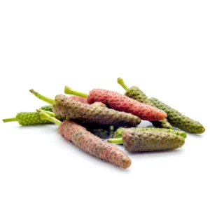 Long Pepper Plant Starter - Piper Longum, 4-6 Inch, No Pot