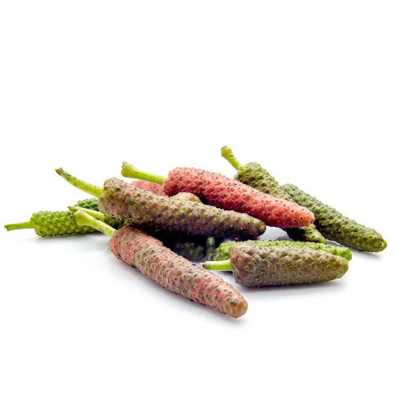 Long Pepper Plant Starter - Piper Longum, 4-6 Inch, No Pot