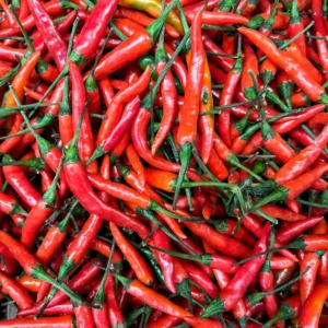 Long Thin Red Cayenne Pepper 2.5 Inch Vegetable Pepper Plant