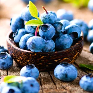 Misty Blueberry Bushes Live Plant Set of 2 - Indoor Outdoor Garden