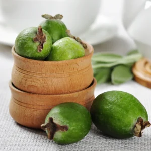 Pineapple Guava Trees Live Plants, Tropical Guava Fruit Tree, 5-9 Inches Tall, Garden Ready