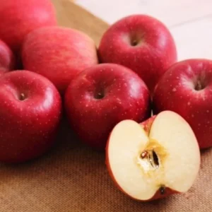 Pink Apple Tree Live Plant - Fruit Trees 24 to 30 Inches Tall