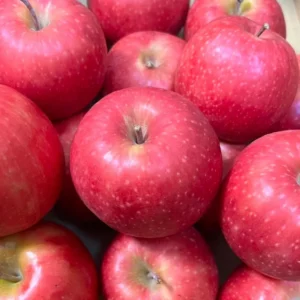 Pink Apple Tree Live Plant - Fruit Trees 24 to 30 Inches Tall