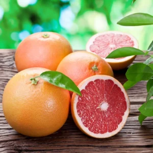 Pink Grapefruit Tree Live Plant 2-3 Ft Tall Pomelo Tree for Planting