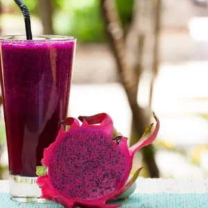 Red Dragon Fruit Plant Live - 2 to 3 Feet Tall - 3 Gallon Pot - Sweet Fruit