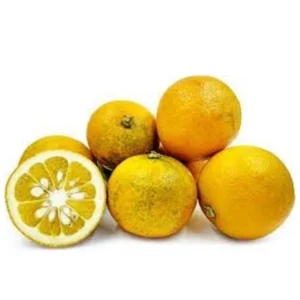 Sour Orange Trees Live Plants - Bitter Orange Fruit Tree - 2-3 ft - 1 Gallon Pot