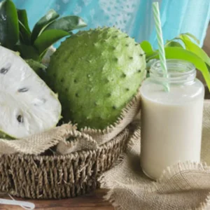 Soursop Trees Live Plants - Fruit Tree - 2 to 3 Feet Tall - 1 Gallon Pot