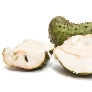 Soursop Trees Live Plants - Fruit Tree - 2 to 3 Feet Tall - 1 Gallon Pot