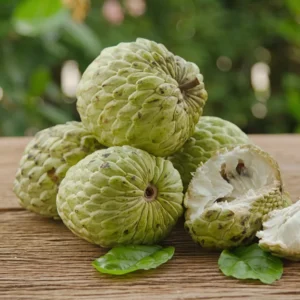 Sugar Apple Tree Live Plant - 8-12 Inch Potted Annona Squamosa Starter