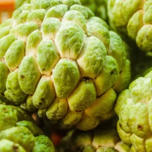 Sugar Apple Tree Seeds - Annona Squamosa - Tropical Fruit Growing