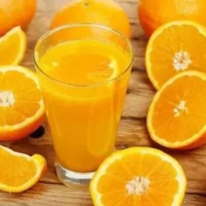 Valencia Orange Trees Live Plants 2-3 Feet Tall 1 Gallon Pot