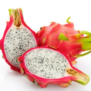 White Dragon Fruit Plant Live - 4-6 Inch Pitaya Plant Indoor
