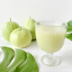 White Guava Trees Live Plants 2-3 Feet Tall 1 Gallon Pot