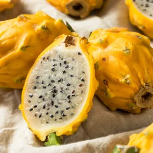 Yellow Dragon Fruit Plant Starter Tree - 3-6 Inch Tall - Outdoor Growing