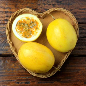 Yellow Passion Fruit Plant - 4-6 Inch Starter Vine, Tropical