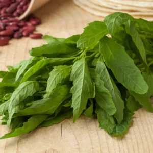 Epazote Herb Plant 8-10 Inch Fresh Culinary Herb