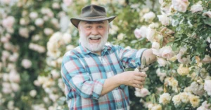 father's day plant gifts