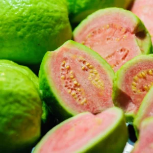 Pink Guava Plant Live 6-8 Inch - Grow Your Own Guava Fruit