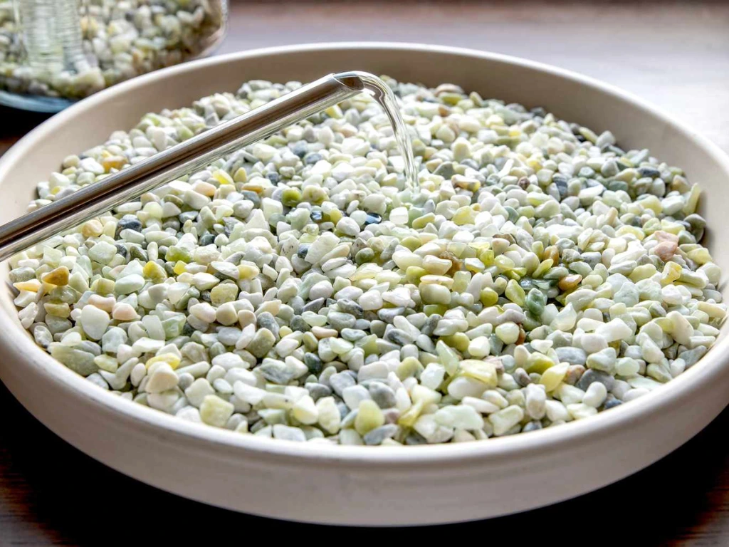 humidity tray for pandan plant