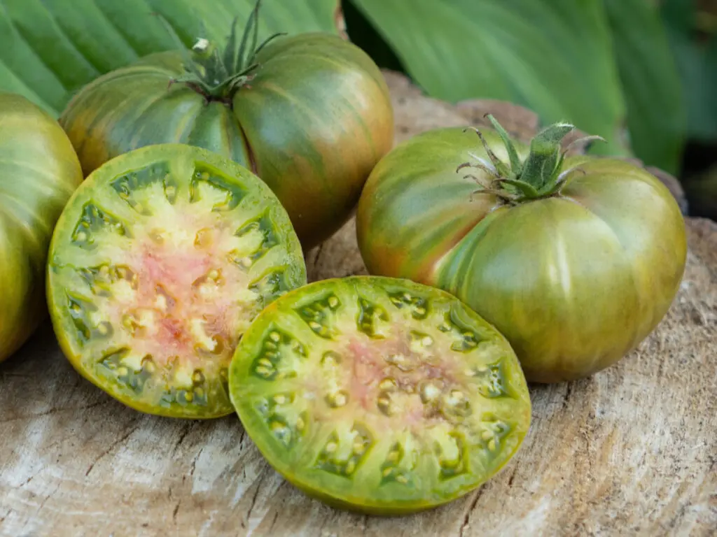 Aunt Ruby’s German Green tomatoes