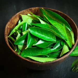 Curry Leaf Plant - 5-8 Inch Live Plant in Pot - Aromatic Herb