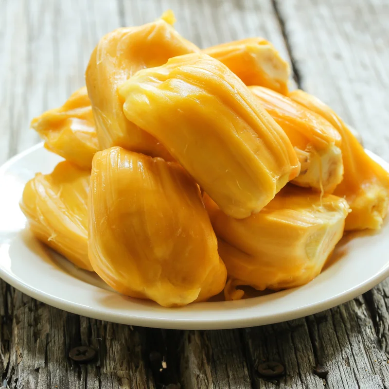 Jackfruit Tree Tropical 6-8'' Tall Live Plant Exotic Fruit Tree