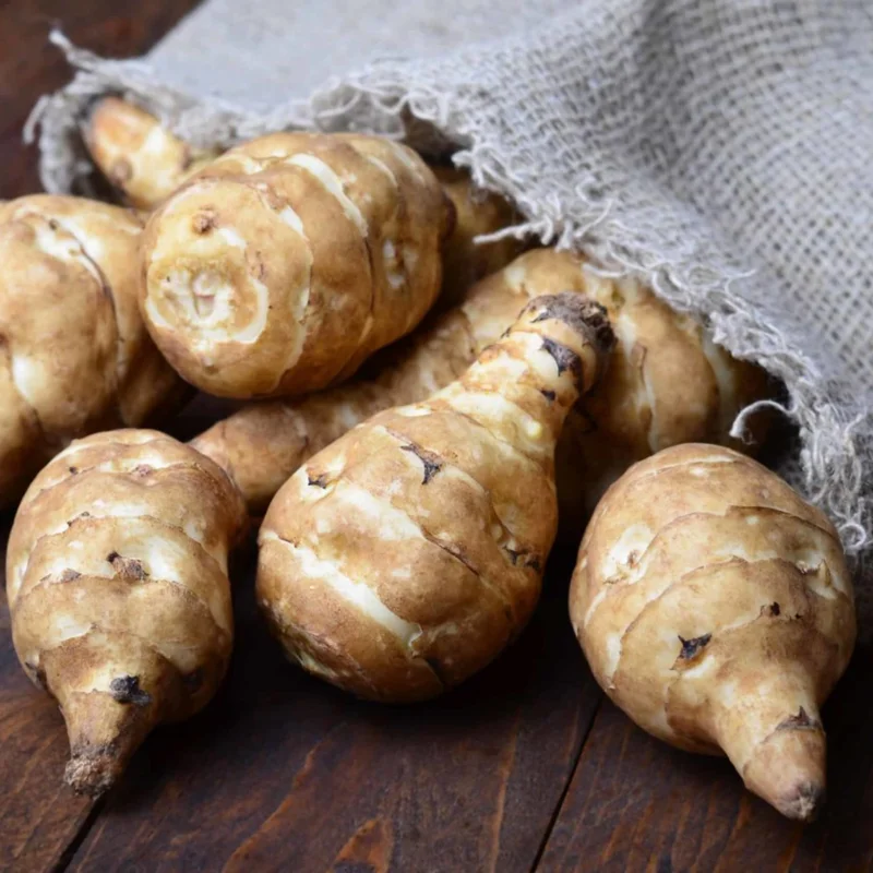 Jerusalem Artichokes Tubers - 3 Pcs Sunchoke Roots for Planting 2-5 Inches