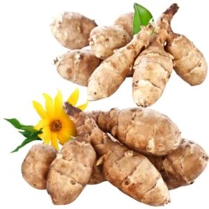 Jerusalem Artichokes Tubers - 3 Pcs Sunchoke Roots for Planting 2-5 Inches