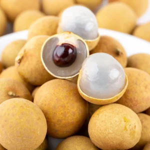 Longan Tree Tropical Fruit 8-10 Inches - Grow Exotic Fruit