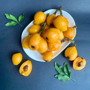 Loquat Tree Plant - 7-10 Inch - Fruit Bearing Tree