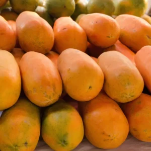 Papaya Tree Starter Plant - 5-8 Inches Tall - Tropical Fruit Tree