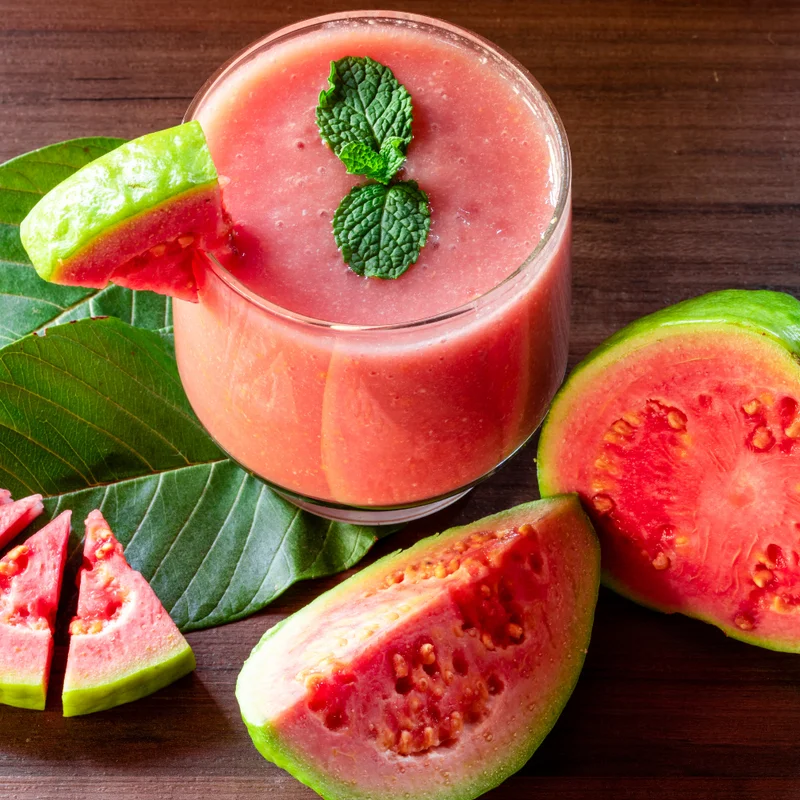 Pink Guava Tree Live Plant - 5-9'' Tall - Cold Hardy Guava Fruit Tree