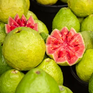 Pink Guava Tree Live Plant - 6-10 Inch Guava Fruit Plant for Outdoor Planting