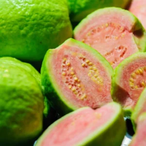 Pink Guava Tree Live Plant - 6-10 Inch Guava Fruit Plant for Outdoor Planting